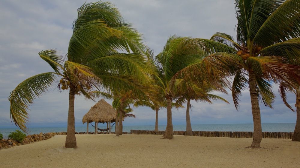 Royal Belize Hotel Thatch Caye Exterior photo